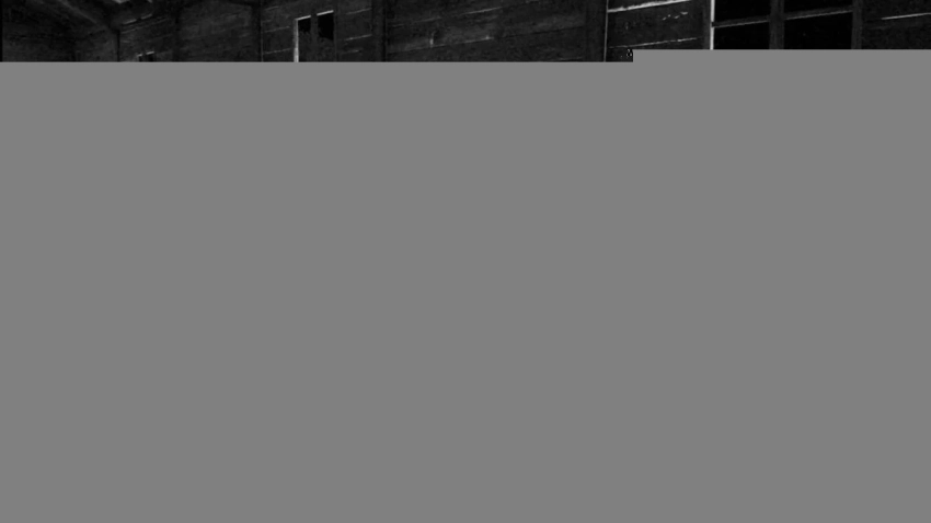 Тираж скандального хоррора Horses составил 18 тысяч копий за первые две недели продаж