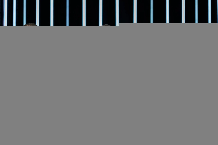 Cостав Бразильской paiN Gaming по Counter-Strike 2 могут пополнить ewjerkz и vsm — СМИ​