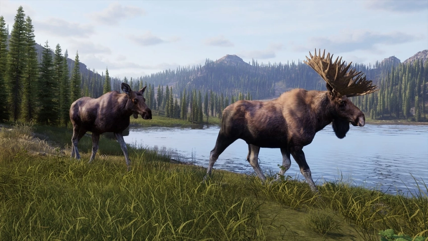 Симулятор охотника Way of the Hunter 2 получил свежий трейлер и дату выхода в раннем доступе